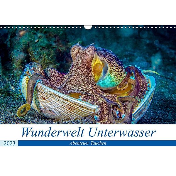 Wunderwelt Unterwasser (Wandkalender 2023 DIN A3 quer), Dieter Gödecke