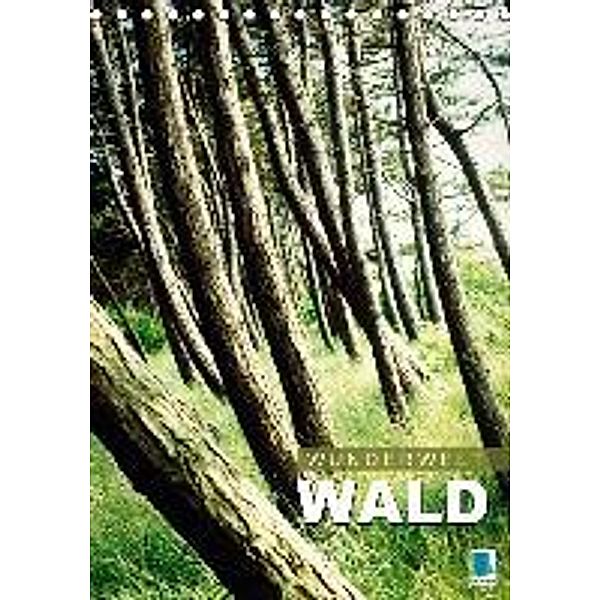 Wunderwelt Wald (Tischkalender 2016 DIN A5 hoch), Calvendo