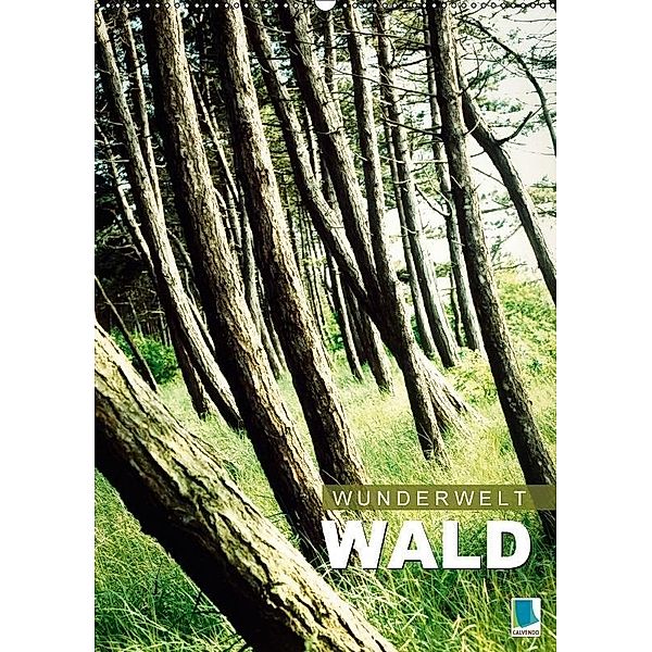 Wunderwelt Wald (Wandkalender 2017 DIN A2 hoch), CALVENDO