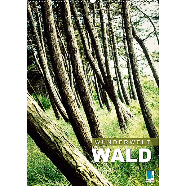 Wunderwelt Wald (Wandkalender 2019 DIN A2 hoch), Calvendo