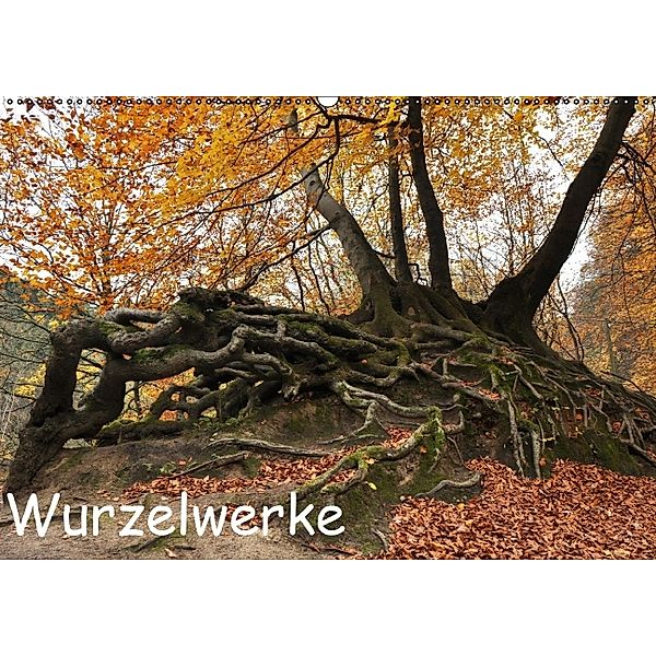 Wurzelwerke (Wandkalender 2014 DIN A4 quer)