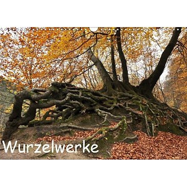 Wurzelwerke (Wandkalender 2020 DIN A3 quer), N N