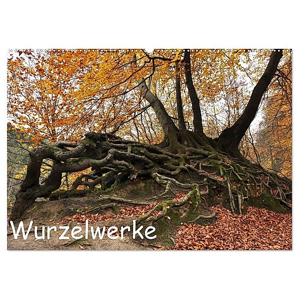 Wurzelwerke (Wandkalender 2024 DIN A2 quer), CALVENDO Monatskalender, Calvendo