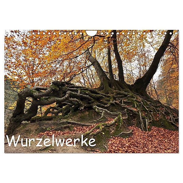 Wurzelwerke (Wandkalender 2024 DIN A4 quer), CALVENDO Monatskalender, Calvendo