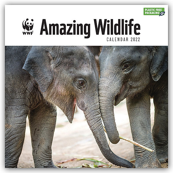 WWF Amazing Wildlife - Faszinierende Tierwelt 2022, Carousel Calendar
