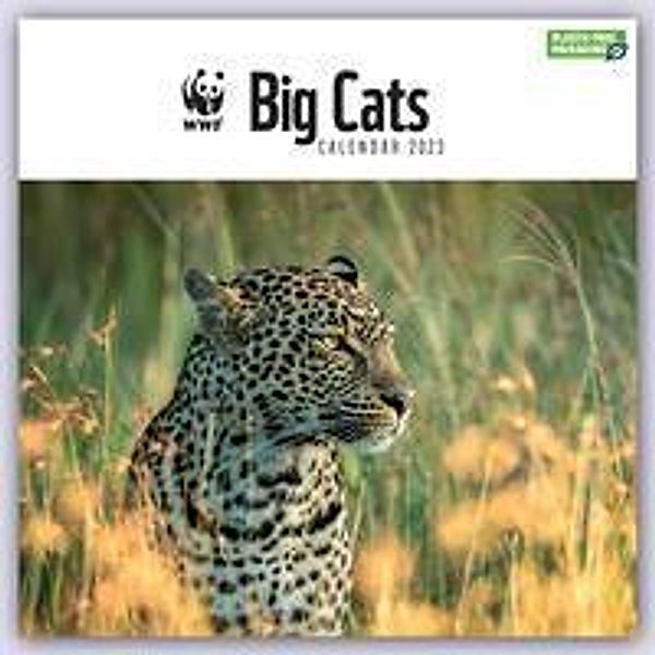 WWF Big Cats - Raubkatzen 2023, Carousel Calendar