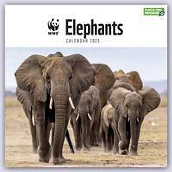 WWF Elephants - Elefanten 2023, Carousel Calendar