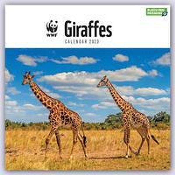 WWF Giraffes - Giraffen 2023, Carousel Calendar