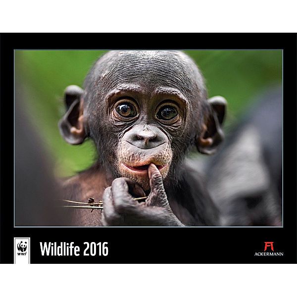 WWF Wildlife 2016