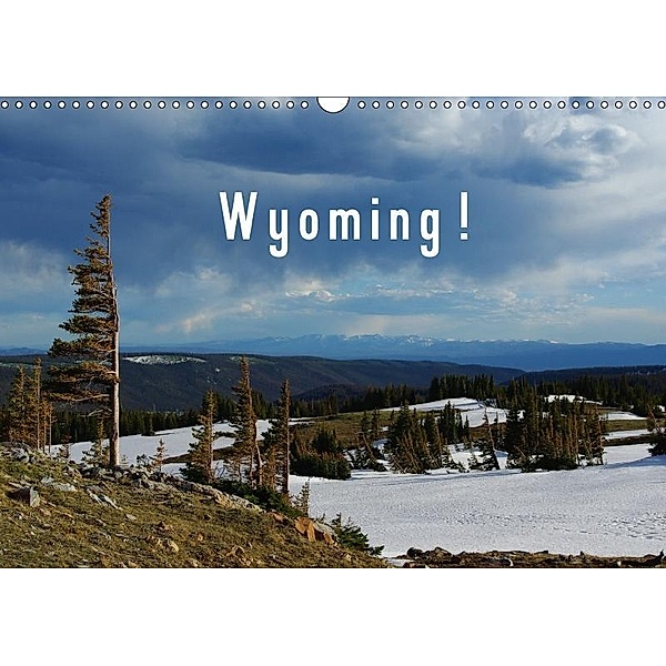 Wyoming! / UK-Version (Wall Calendar 2017 DIN A3 Landscape), Claudio Del Luongo