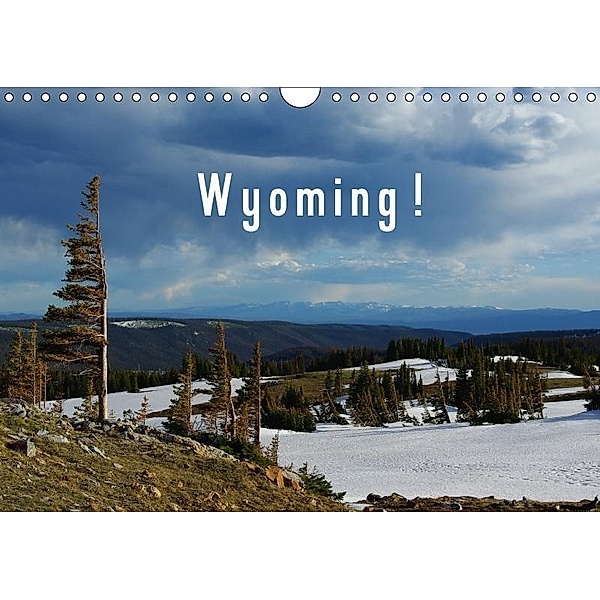 Wyoming! / UK-Version (Wall Calendar 2017 DIN A4 Landscape), Claudio Del Luongo