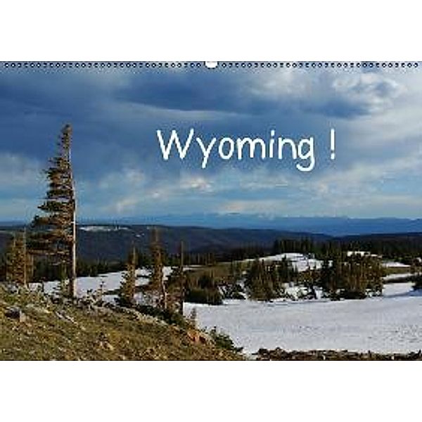 Wyoming! (Wandkalender 2016 DIN A2 quer), Claudio Del Luongo