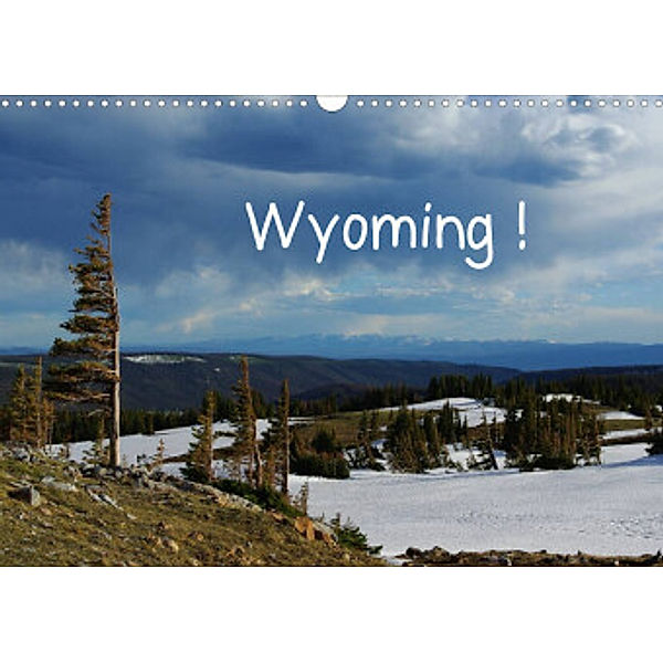 Wyoming! (Wandkalender 2022 DIN A3 quer), Claudio Del Luongo