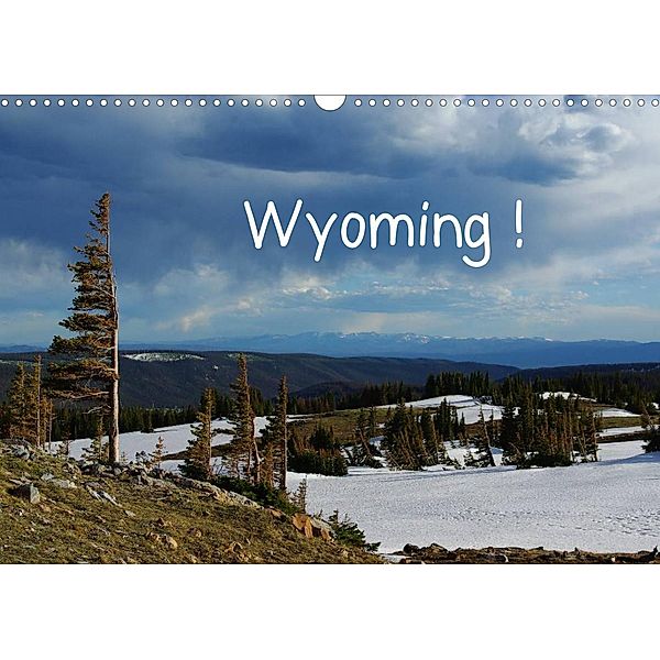 Wyoming! (Wandkalender 2023 DIN A3 quer), Claudio Del Luongo