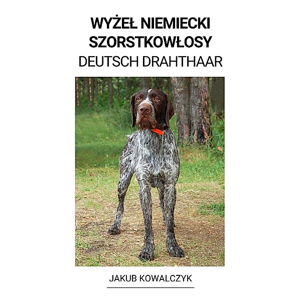 Wyzel Niemiecki Szorstkowlosy (Deutsch  Drahthaar), Jakub Kowalczyk