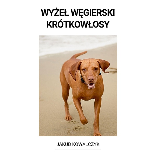 Wyzel Wegierski Krótkowlosy, Jakub Kowalczyk