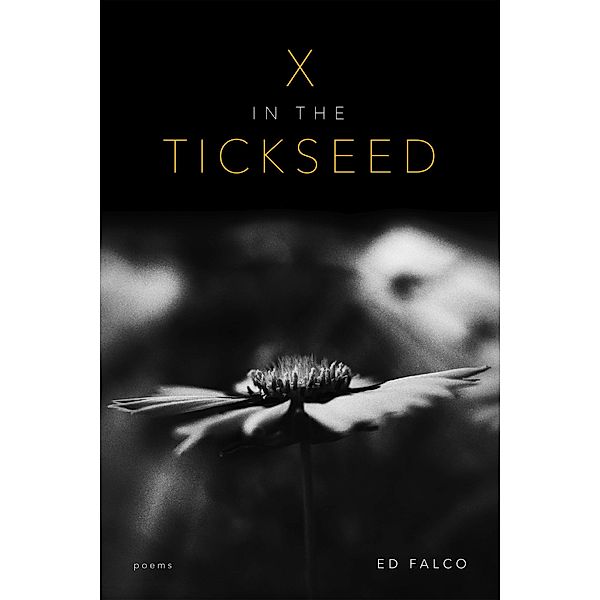 X in the Tickseed, Ed Falco