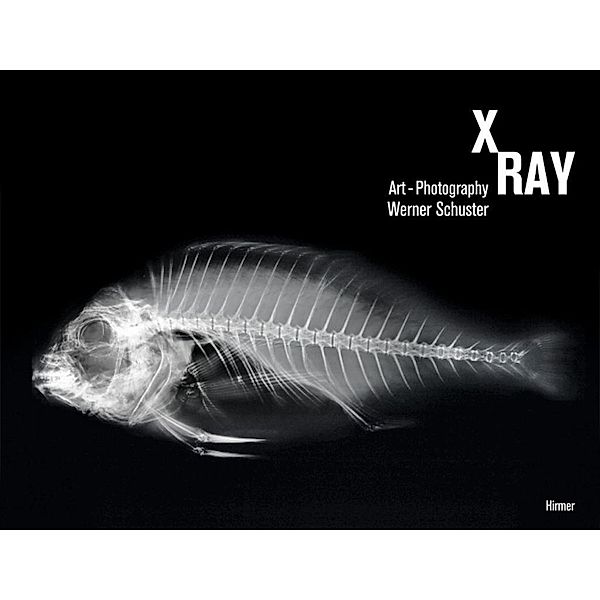 X-Ray, Werner Schuster