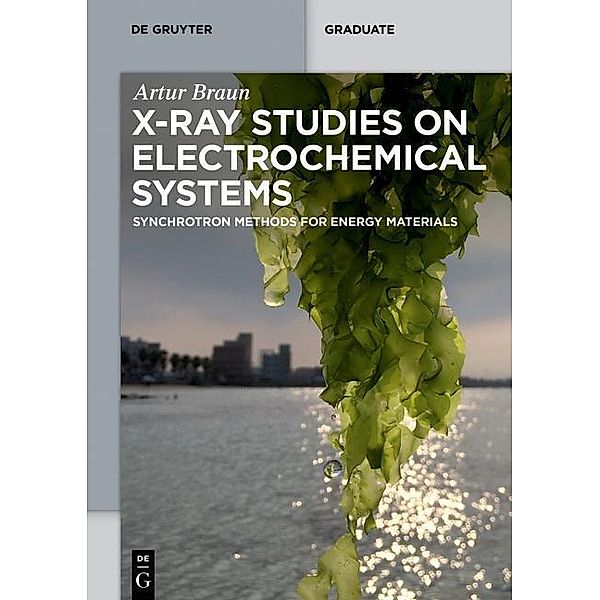 X-ray Studies on Electrochemical Systems, Artur Braun