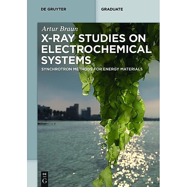 X-Ray Studies on Electrochemical Systems / De Gruyter Textbook, Artur Braun
