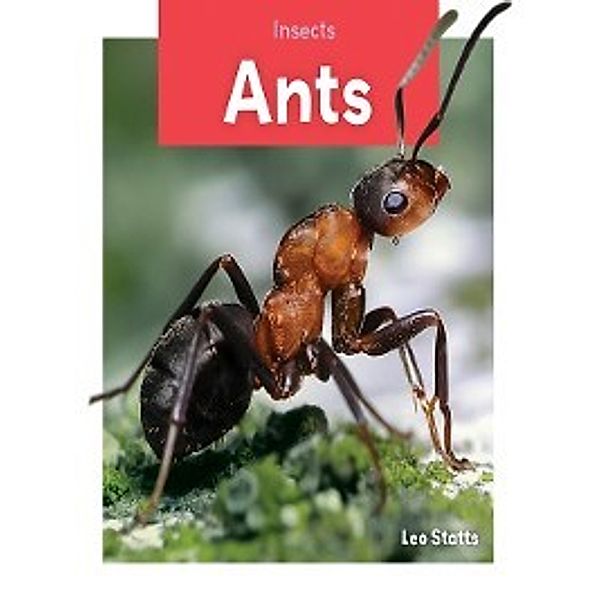 Xtreme Insects: Ants, S. L. Hamilton