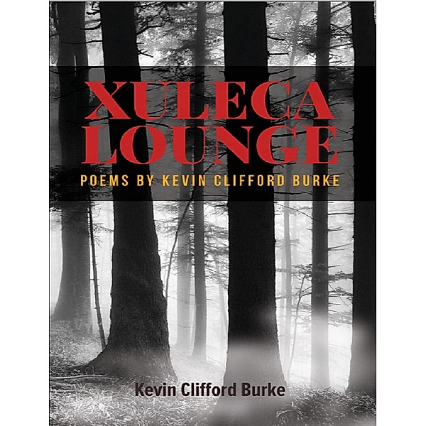 Xuleca Lounge, Kevin Burke