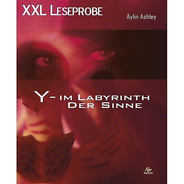 XXL Leseprobe: Y - Im Labyrinth der Sinne, Aylin Ashley