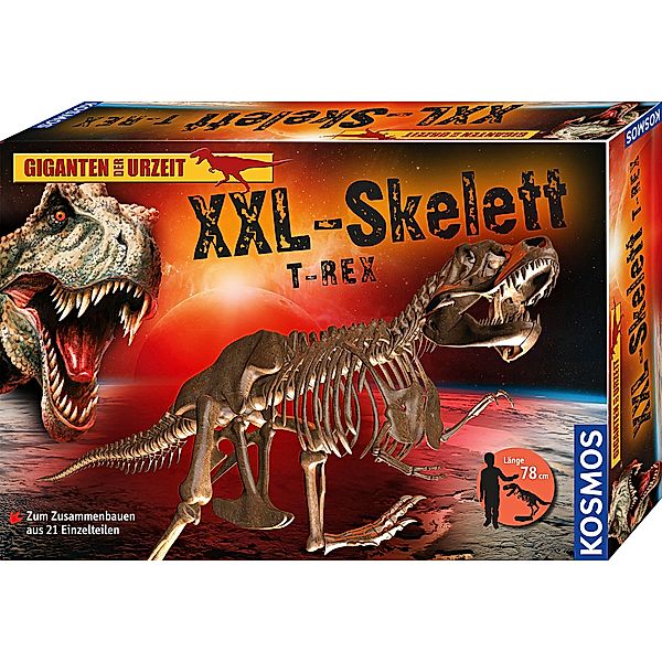 XXL-Skelett T-Rex