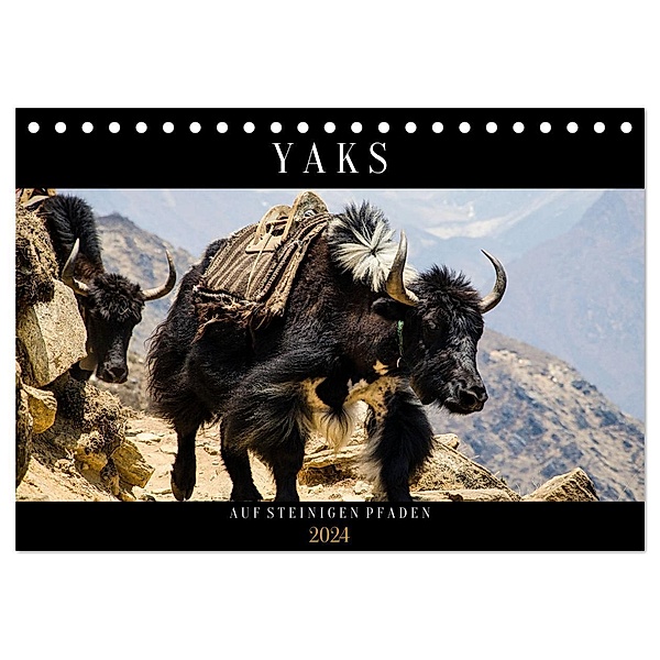 Yaks - auf steinigen Pfaden (Tischkalender 2024 DIN A5 quer), CALVENDO Monatskalender, Renate Utz