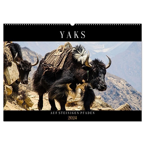 Yaks - auf steinigen Pfaden (Wandkalender 2024 DIN A2 quer), CALVENDO Monatskalender, Renate Utz