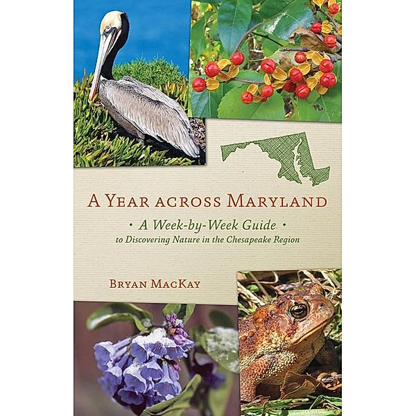 Year across Maryland, Bryan Mackay