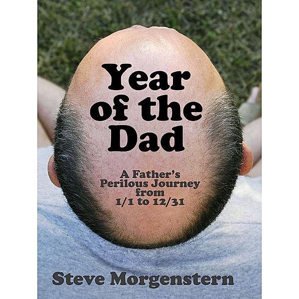 Year of the Dad / Steve Morgenstern, Steve Morgenstern