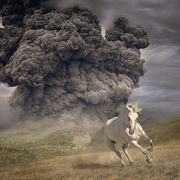 Year Of The Dark Horse, The White Buffalo