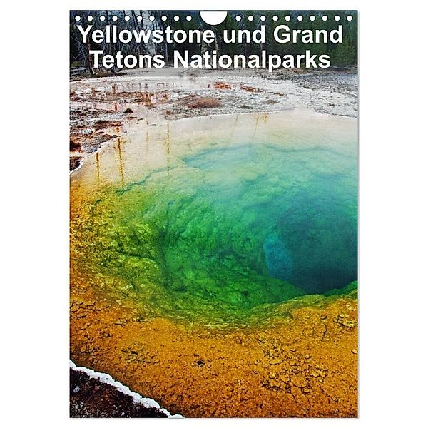 Yellowstone und Grand Tetons Nationalparks (Wandkalender 2024 DIN A4 hoch), CALVENDO Monatskalender, Borg Enders