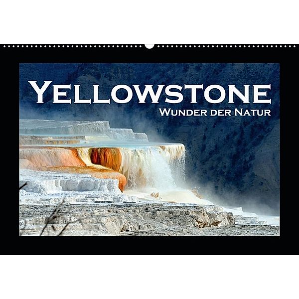 Yellowstone - Wunder der Natur (Wandkalender 2020 DIN A2 quer), Robert Styppa