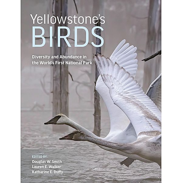 Yellowstone's Birds