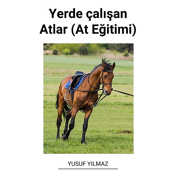 Yerde çalisan Atlar (At Egitimi), Yusuf Yilmaz