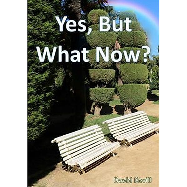 Yes, But What Now? / David Kevill Author, David Kevill