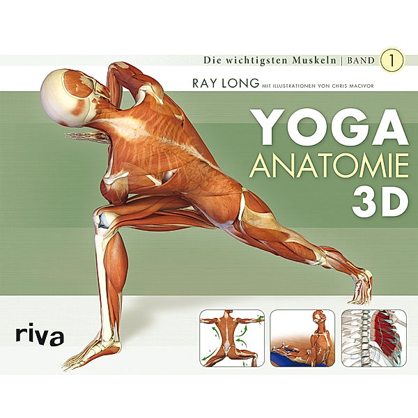 Yoga-Anatomie 3D.Bd.1, Ray Long