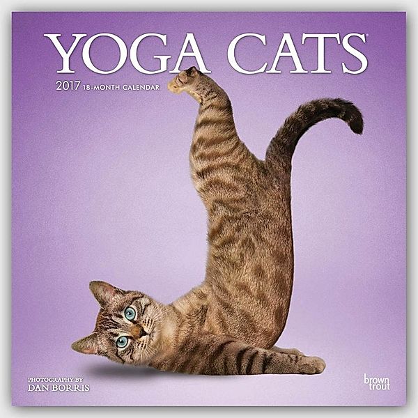 Yoga Cats, Inc Browntrout Publishers