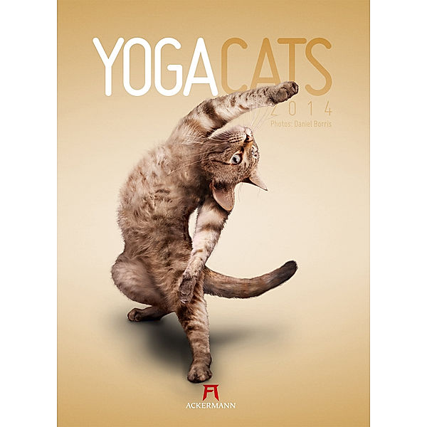 Yoga Cats 2014