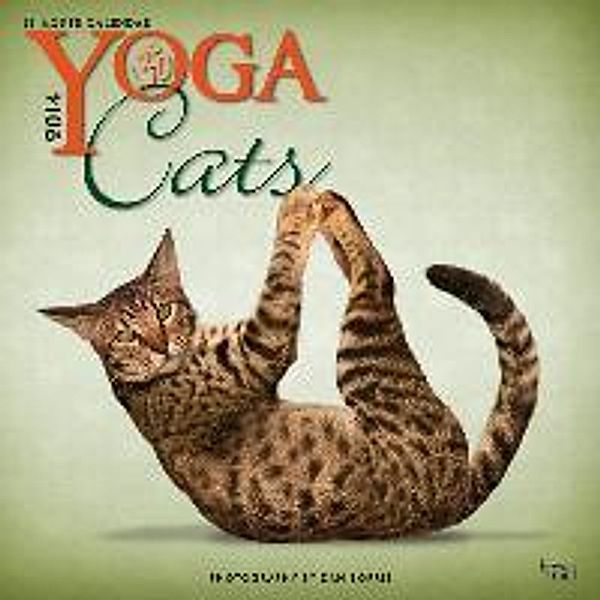Yoga Cats 2014 Wall Calendar