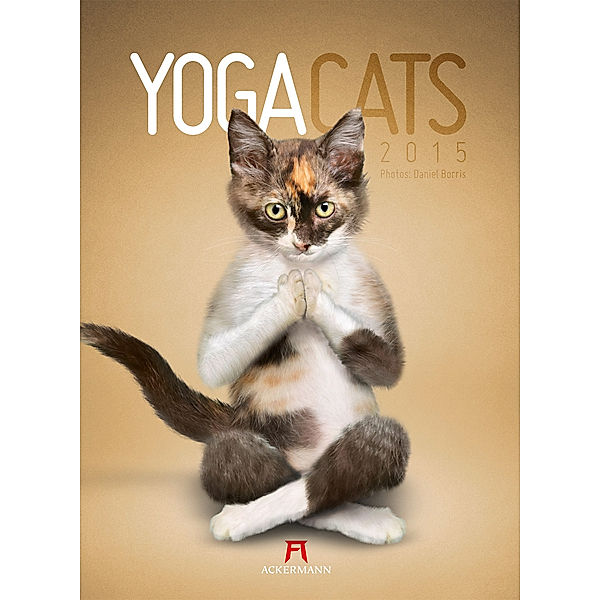 Yoga Cats 2015, Daniel Borris