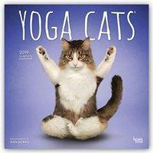 Yoga Cats - Joga-Katzen 2019 - 18-Monatskalender