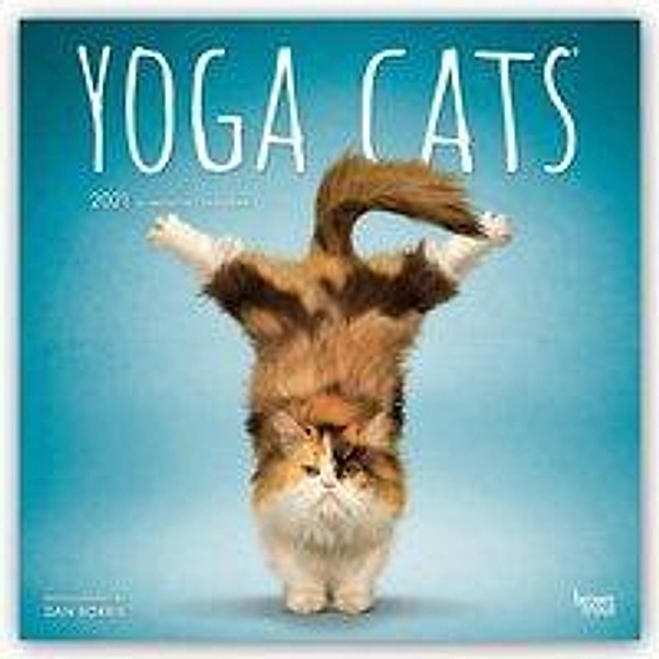 Yoga Cats - Joga-Katzen 2021 - 16-Monatskalender, BrownTrout Publisher