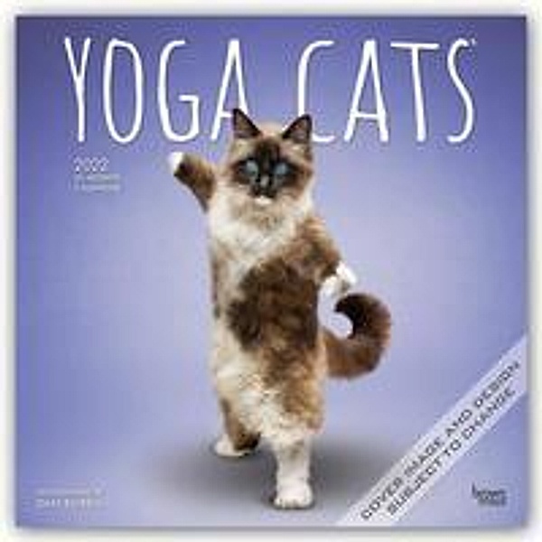 Yoga Cats - Joga-Katzen 2022 - 16-Monatskalender, BrownTrout Publisher
