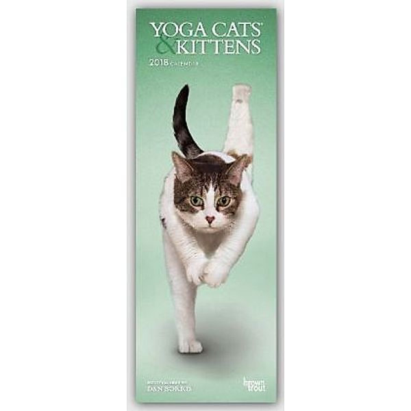 Yoga Cats & Kittens 2018, BrownTrout Publisher