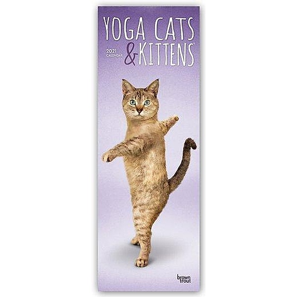 Yoga Cats & Kittens - Yoga-Katzen und Yoga-Kätzchen 2021, BrownTrout Publishers