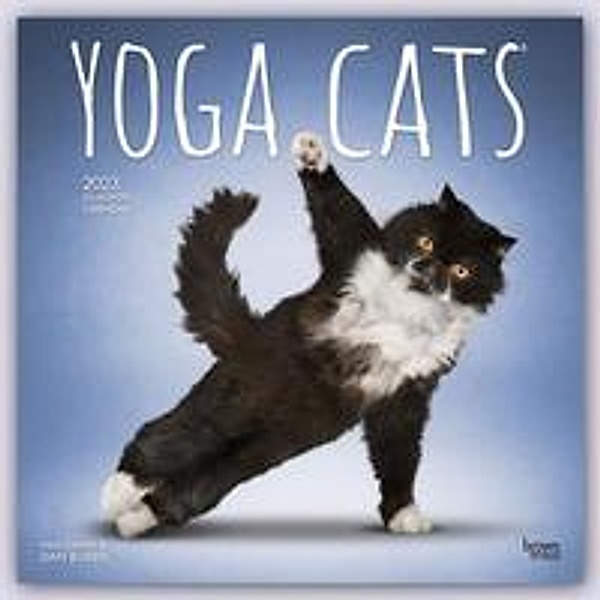 Yoga Cats - Yoga-Katzen 2023 - 16-Monatskalender, BrownTrout Publisher
