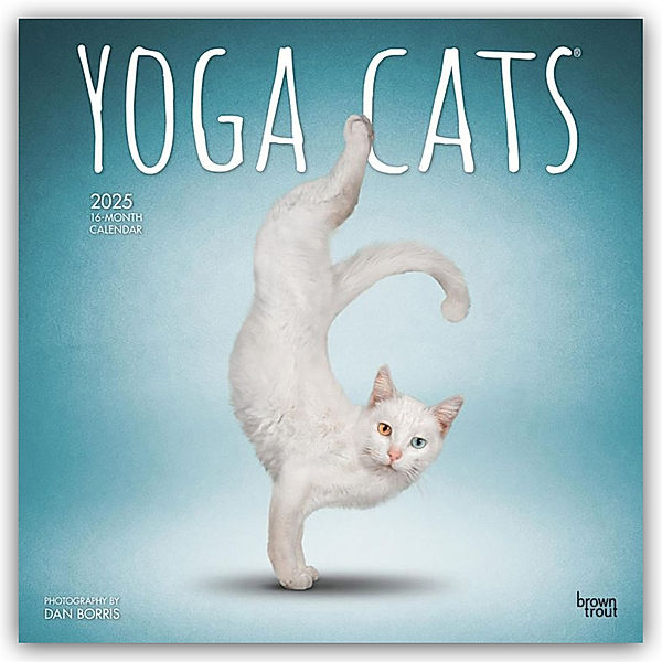 Yoga Cats - Yoga-Katzen 2025 - 16-Monatskalender, BrownTrout Publisher